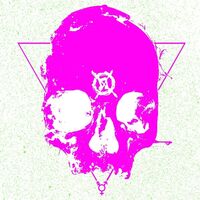 Hirs Collective - First 100 Songs vinyl cover