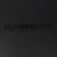 Hjarnidaudi - Pain: Noise: March / Psykostarevoid Box vinyl cover