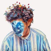 Hobo Johnson - The Fall Of Hobo Johnson vinyl cover