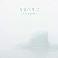 Hoff Ensemble - Polarity vinyl cover