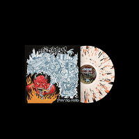 Hold My Own - Pay No Mind vinyl cover