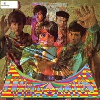 Hollies - Evolution vinyl cover