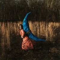 Holly Miranda - Mutual Horse vinyl cover