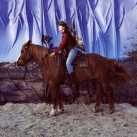 Holy Motors - Horse vinyl cover