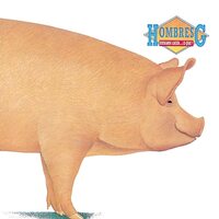 Hombres G - Estamos Locos... O Que? vinyl cover