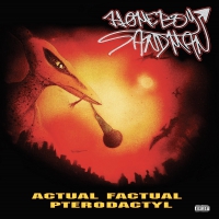 Homeboy Sandman - Actual Factual Pterodactyl vinyl cover