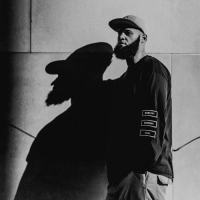 Homeboy Sandman - Veins vinyl cover