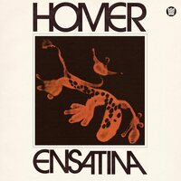 Homer - Ensatina vinyl cover