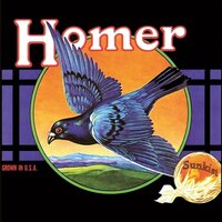 Homer - Grown In U.S.A. vinyl cover