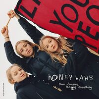 Honey Hahs - Dear Someone, Happy Something vinyl cover