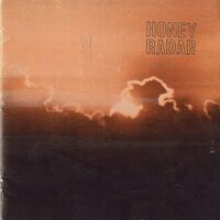 Honey Radar - Ruby Puff Of Dust vinyl cover