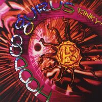 Hoodoo Gurus - Kinky vinyl cover