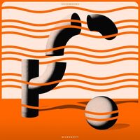 Hookworms - Microshift vinyl cover