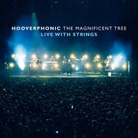 Hooverphonic - Magnificent Tree: Live With Strings vinyl cover