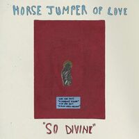 Horse Jumper Of Love - So Divine vinyl cover