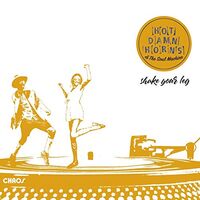 Hot Damn Horns  &  The Soul Machine - Shake Your Leg vinyl cover