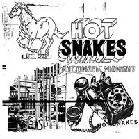 Hot Snakes - Automatic Midnight vinyl cover