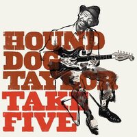 Hound Dog Taylor - Take Five vinyl cover