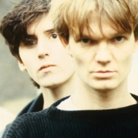 House Of Love - House Of Love: 30Th Anniversary vinyl cover