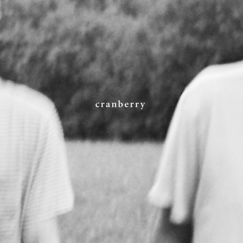 Hovvdy - Cranberry vinyl cover