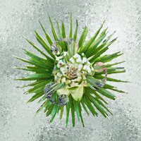 How??? - How??? (Ultra Clear) vinyl cover