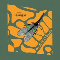 Huan Huan - One Big Bug vinyl cover