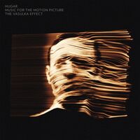 Hugar - The Vasulka Effect vinyl cover