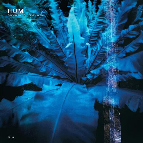 Hum - Downward Is Heavenward vinyl cover