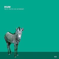 Hum - You'd Prefer An Astronaut vinyl cover