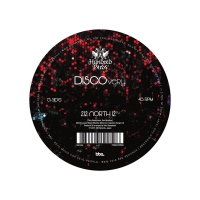 Hundred Birds - Discovery vinyl cover