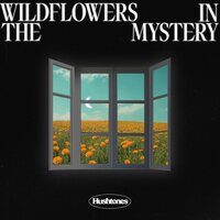 Hushtones - Wildflowers In The Mystery vinyl cover