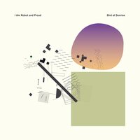 I Am Robot and Proud - Bird At Sunrise vinyl cover