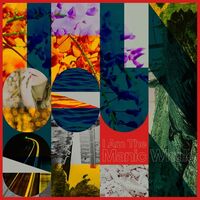 I Am The Manic Whale - Things Unseen vinyl cover