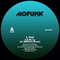 I Ced - Interpretations Remixes vinyl cover