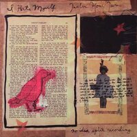 I Hate Myself & 12 Hour Turn - Split vinyl cover