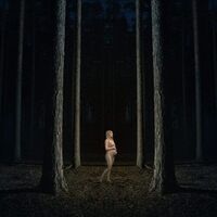 Iamamiwhoami - Be Here Soon vinyl cover