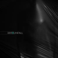 Iamx - Unfall vinyl cover