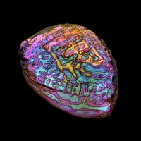 Ian Chang - 属 Belonging vinyl cover