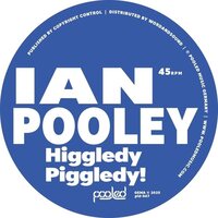 Ian Pooley - Higgledy Piggledy! vinyl cover