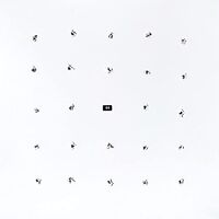 Ian William Craig - Split Series #24 vinyl cover