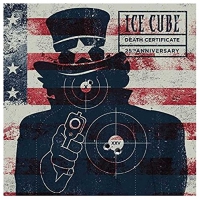 Ice Cube - Death Certificate vinyl cover