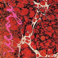 Iceage - Beyondless vinyl cover