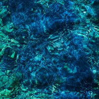 Ichiko Aoba - Luminescent Creatures vinyl cover