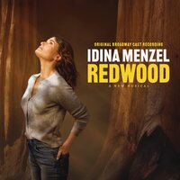 Idina Menzel Original Broadway Cast of Redwood - Redwood Original Broadway Cast Recording vinyl cover