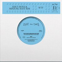 Idjut Boys & Minjung Kate Kim - WTF: Further Adventures Of The WTF Band vinyl cover