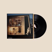 Idles - Crawler vinyl cover