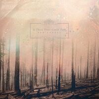 If These Trees Could Talk - Red Forest vinyl cover