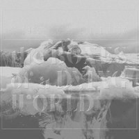 If These Trees Could Talk - The Bones Of A Dying World vinyl cover