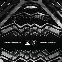 Iggor Cavalera & Shane Embury - Neon Gods/Own Your Darkness vinyl cover