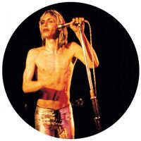 Iggy  &  The Stooges - More Power - A Gorgeous Picture Disc Vinyl vinyl cover